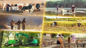 berbagai gaya hidup umat manusia