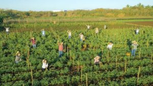 lingkungan hidup dasar yang Tuhan ciptakan untuk umat manusia