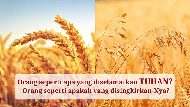 Siapa yang Tuhan selamatkan dan siapa yang Dia singkirkan