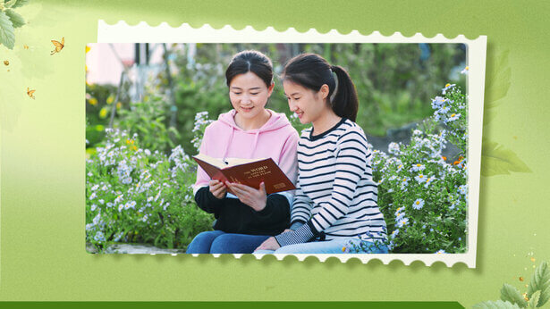 Orang sering berkata bahwa orang kaya dan berkuasa, penuh anak dan cucu adalah kebahagiaan, tetapi ketika saya mendapatkan ini, malah hati saya sangat kosong, dan sering diikuti dengan berbagai kebingungan. Saya ingin mencari tahu, apa itu sebenarnya kebahagiaan? Bagaimana kita bisa menemukan kebahagiaan sejati?