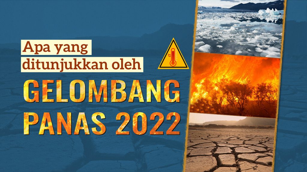 Apa yang ditunjukkan oleh gelombang panas 2022？